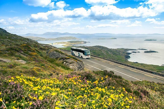 NO 1 Ring of Kerry Tour inc Killarney Lakes & National Park - The Sum Up: Why This Tour Works for Many Travelers