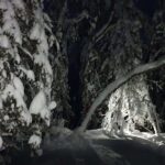 Nocturnal Skiing: Experience the Arctic's Magic - What Makes This Tour Stand Out?