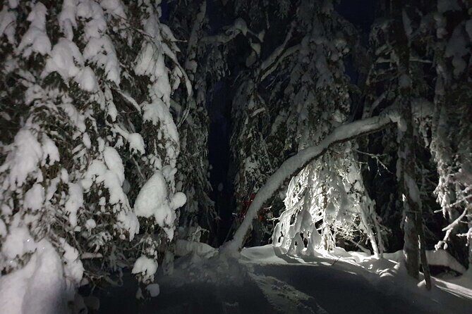 Nocturnal Skiing: Experience the Arctic's Magic - What Makes This Tour Stand Out?