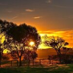 Nocturnal Tour of Kangaroo Island - The Sum Up: Why This Tour Is a Solid Choice