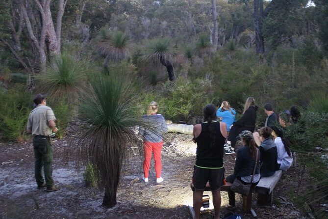 Nocturnal Wildlife Tour from Busselton or Dunsborough