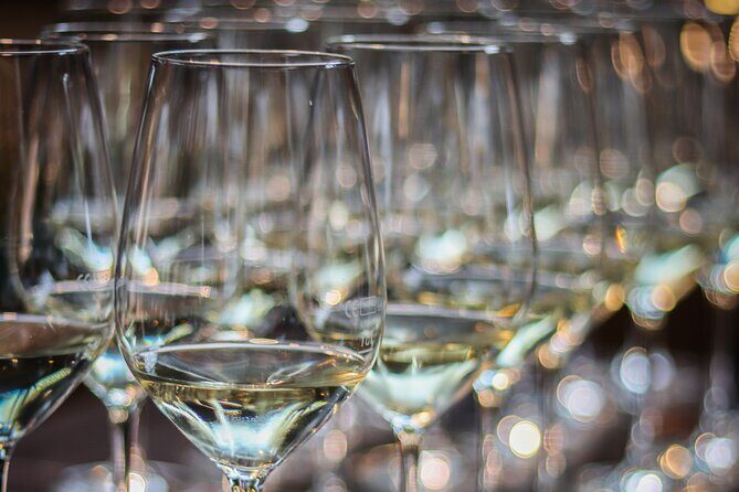 Non-Alcoholic Wine Tasting with an Expert - A Closer Look at the Experience