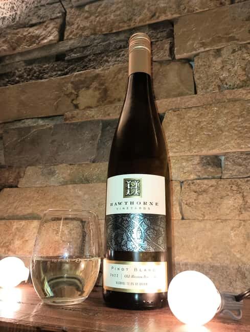 NON BUS GIRLS TRIP Traverse City Old Mission Wine Tour - A Closer Look at the Traverse City Old Mission Wine Tour