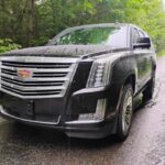 NON BUS VIP Cadillac Escalade Old Mission Traverse Wine Tour - Who Will Love This Tour?