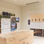 Non guided tour of the wine museum and amarone tasting - Who Should Consider This Tour?