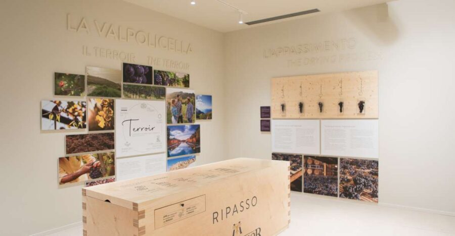 Non guided tour of the wine museum and amarone tasting - Who Should Consider This Tour?