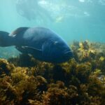 Non Swimmers Discovery Tour ocean - Personal Attention and Small Group Magic