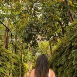 Nonno Mario Sorrento Lemon tour - Who Will Love This Tour?
