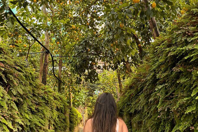 Nonno Mario Sorrento Lemon tour - Who Will Love This Tour?