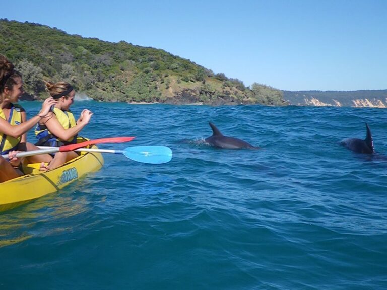 Noosa: Dolphin Sea Kayak & Beach 4X4 Tour (in National Park) - An In-Depth Look at the Tour Experience