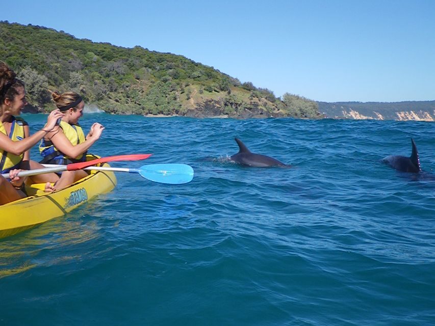 Noosa: Dolphin Sea Kayak & Beach 4X4 Tour (in National Park)