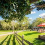 Noosa: Everglades Explorer Cruise - Final Thoughts: Why Choose the Noosa Everglades Explorer?