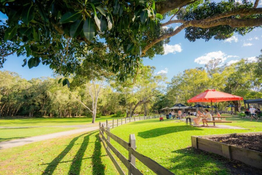 Noosa: Everglades Explorer Cruise - Final Thoughts: Why Choose the Noosa Everglades Explorer?