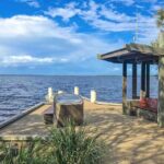 Noosa Hinterland Tour with Lunch, Wine & Cheese Tasting & more - Practical Details and What You Need to Know