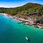 Noosa ocean adventure & Dolphin safari. - Final Thoughts: Who Should Consider This Tour?