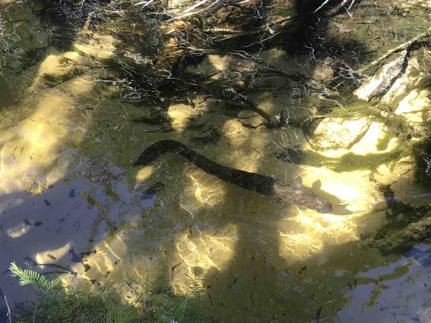 Noosa: Rainbow Beach Tour via Noosa Hinterland and Cooloola