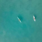 Noosa River: Mangroves and Mansions Guided Kayak Tour - Practical Details and Tips