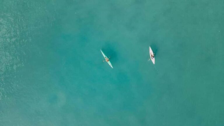 Noosa River: Mangroves and Mansions Guided Kayak Tour - Practical Details and Tips