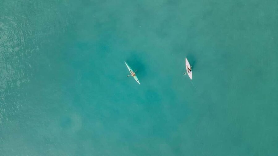 Noosa River: Mangroves and Mansions Guided Kayak Tour - Practical Details and Tips
