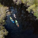 Noosa Sightseeing Adventure - Ferry Cruise, Ride and Kayak - In-Depth Review: What You Can Expect from the Noosa Sightseeing Adventure