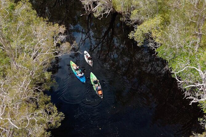 Noosa Sightseeing Adventure - Ferry Cruise, Ride and Kayak - In-Depth Review: What You Can Expect from the Noosa Sightseeing Adventure