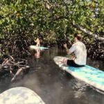 Noosa Stand Up Paddle & Mangrove Tunnel Tour (Self Guided) - FAQ