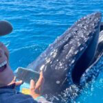 Noosa Whale Watching Adventure Cruise - Final Thoughts: Is It the Tour for You?