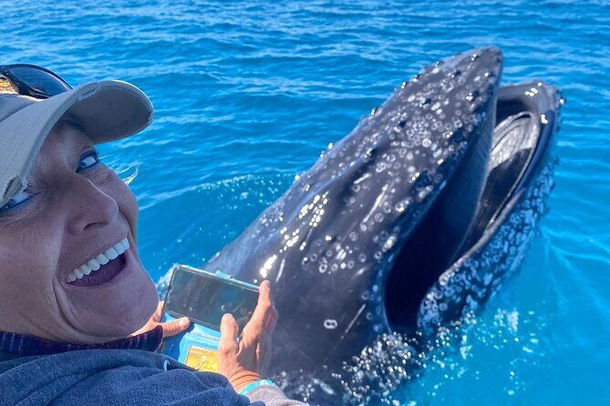 Noosa Whale Watching Adventure Cruise - Final Thoughts: Is It the Tour for You?