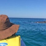 Noosa Whale Watching On Ocean Kayaks & Beach 4X4 Tour - Who Will Love This Tour?