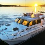 Noosa Whale Watching Tours - Why This Tour Offers Great Value