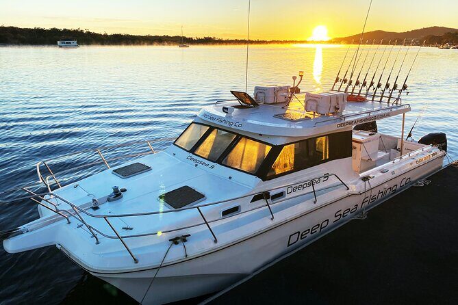 Noosa Whale Watching Tours - Why This Tour Offers Great Value