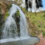 Nordeste Tour from Ponta Delgada - Exploring the Nordeste Tour in Depth