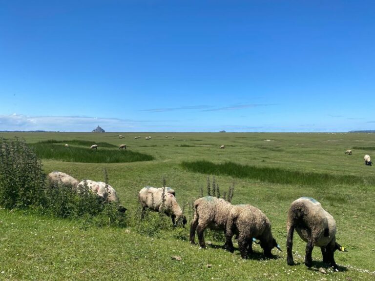 Normandy: Private Guided Tour with a Local Expert - Exploring Normandy with a Local Guide