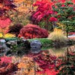 North Atlanta: Gibbs Gardens Self-Guided Slingshot Tour - An In-Depth Look at the Self-Guided Slingshot Tour