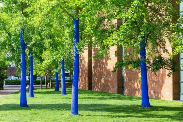 North Chelmsford: The Salem Witch Museum & Memorial Tour - FAQ