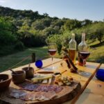 North Corfu Olive Tour with Olive Oil Tasting and Meze - A Deep Dive into the North Corfu Olive Tour Experience