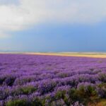 North-Eastern Bulgaria at a Glance - Ivanovo, Shumen & Madara from Bucharest - Who Will Love This Tour?