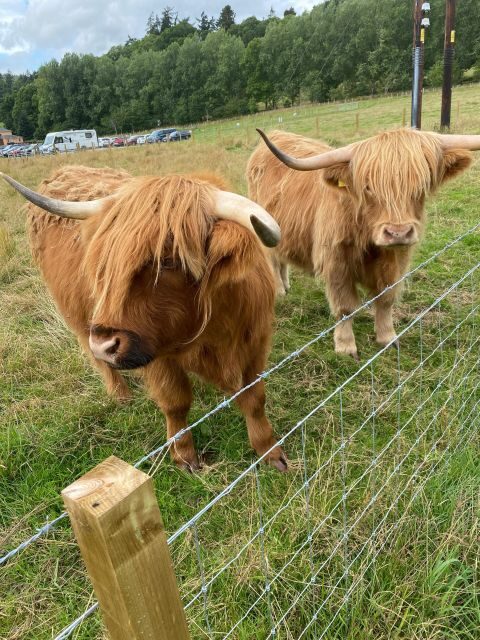 NORTH HIGHLAND TOUR, DUNROBIN CASTLE & MORE FROM INVERGORDON - What Makes This Tour Stand Out