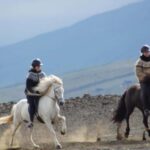 North Iceland: Horseback Riding Tour - What Makes This Tour Special