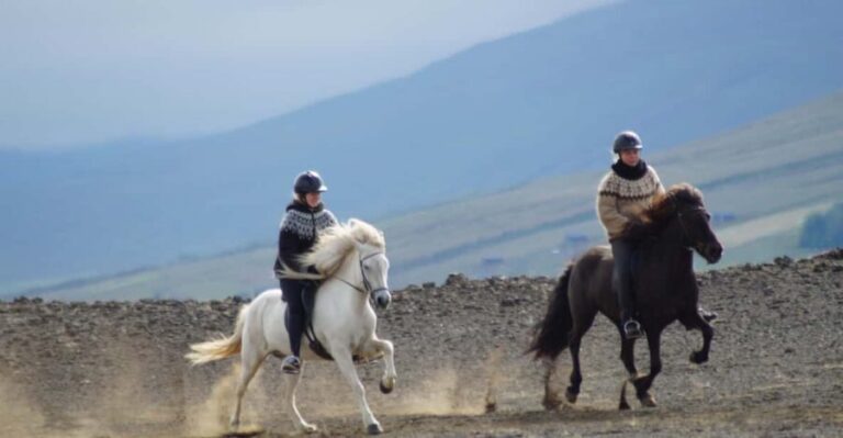 North Iceland: Horseback Riding Tour - What Makes This Tour Special