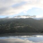North Madeira & Wine Tour 4x4 Jipe Tour - Who Will Love This Tour?