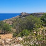 North Malta Quad Bike Tour with Land or Sea Views and Swimming - A Detailed Look at the North Malta Quad Bike Tour