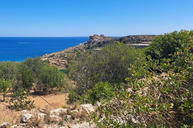 North Malta Quad Bike Tour with Land or Sea Views and Swimming - A Detailed Look at the North Malta Quad Bike Tour