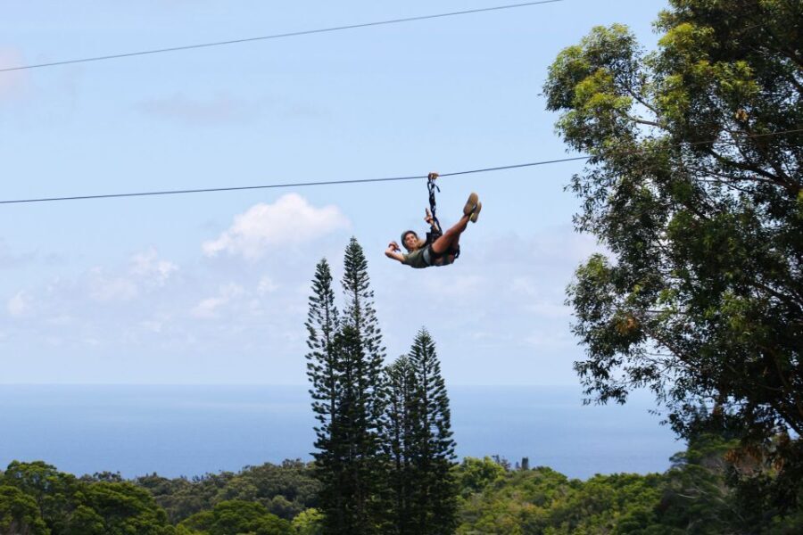 North Maui: 7 Line Zipline Adventure with Ocean Views - Exploring the Experience: What to Expect from Start to Finish