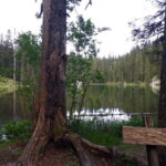 North Montenegro return trip - Biogradska Gora National Park - Who Should Consider This Tour?