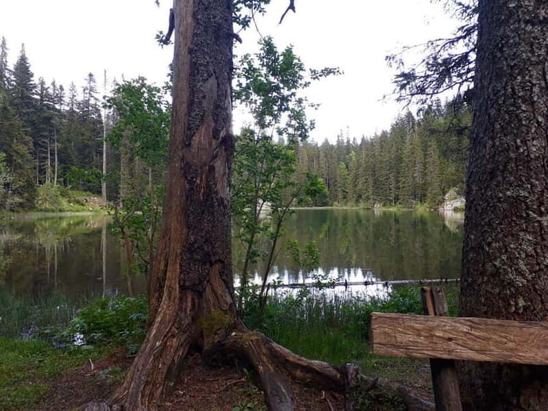North Montenegro return trip - Biogradska Gora National Park - Who Should Consider This Tour?