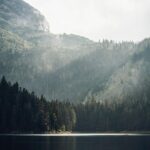 North Montenegro Tour:abljak - NP Durmitor - Black Lake - urevia Tara Bridge - Exploring Montenegro’s Hidden Gems: The North Montenegro Tour in Detail