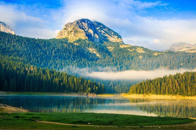 North of Montenegro Private Tour - Tara Canyon & National Parks - Practical Aspects: Transportation & Guide
