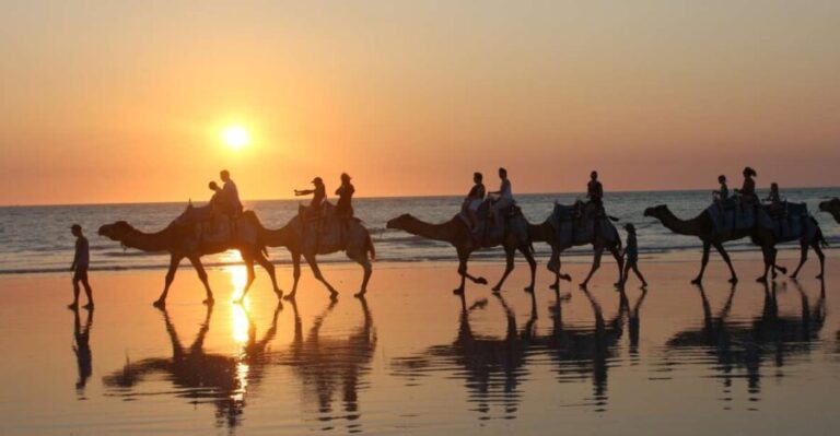 North of Rocks on Cable Beach: 1-Hour Sunset Camel Ride - Why This Tour Stands Out