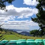 North Otago 7 Hours Scenic & Wildlife Tour - Why This Tour Works for Travelers